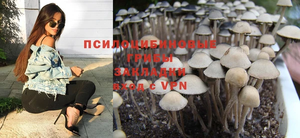 ПСИЛОЦИБИНОВЫЕ ГРИБЫ Пестово