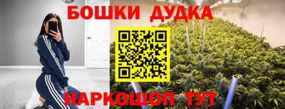 индика Канаш
