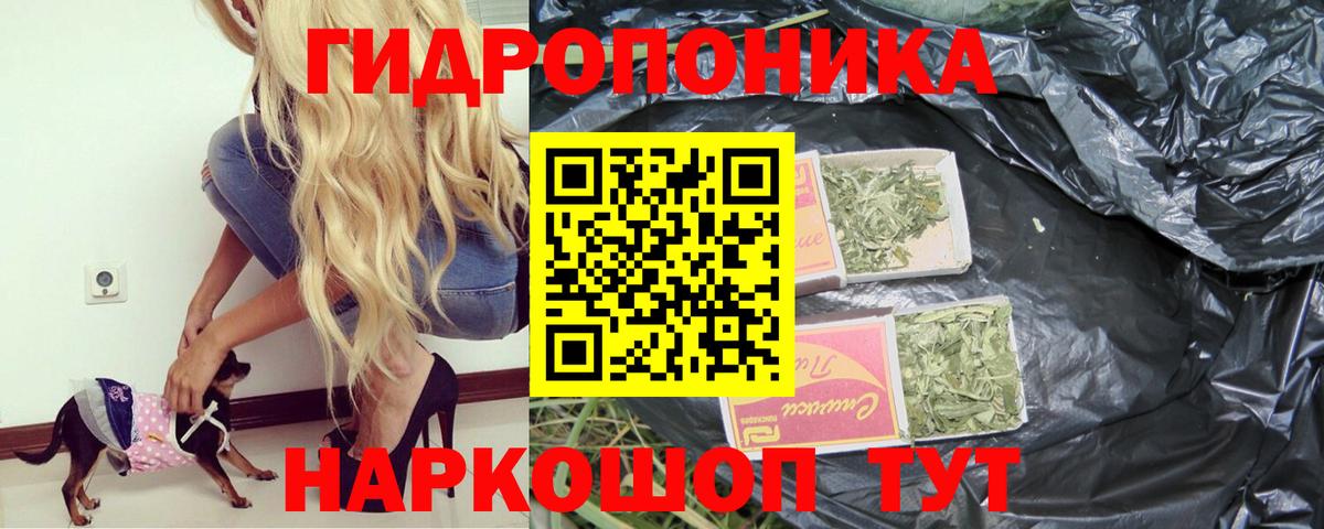 Бошки Шишки план  Каннабис THC 21%  Шишки марихуана White Widow  Марихуана SATIVA & INDICA  Вход с VPN  Сатка 